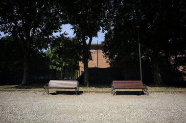 Ağaçların arkasındaki yolun kenarındaki banklar ve güneşli bir günde bir çit.