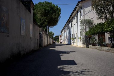 Road bordered by a building and a boundary wall with a pine growing above it in a village of the italian countryside on a sunny day
