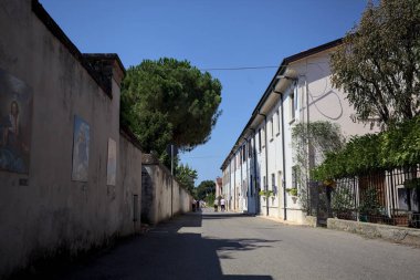 Road bordered by a building and a boundary wall with a pine growing above it in a village of the italian countryside on a sunny day