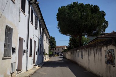 Road bordered by a building and a boundary wall with a pine growing above it in a village of the italian countryside on a sunny day