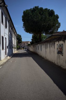 Road bordered by a building and a boundary wall with a pine growing above it in a village of the italian countryside on a sunny day
