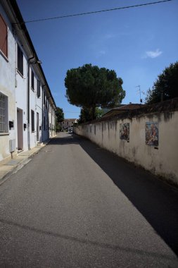 Road bordered by a building and a boundary wall with a pine growing above it in a village of the italian countryside on a sunny day