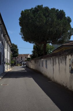 Road bordered by a building and a boundary wall with a pine growing above it in a village of the italian countryside on a sunny day
