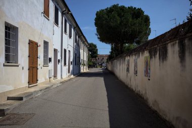 Road bordered by a building and a boundary wall with a pine growing above it in a village of the italian countryside on a sunny day