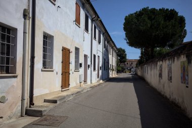 Road bordered by a building and a boundary wall with a pine growing above it in a village of the italian countryside on a sunny day