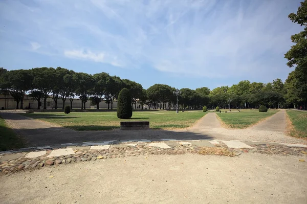 Opening forming a square with trails and bushes bordered by trees on it in a park on a sunny day
