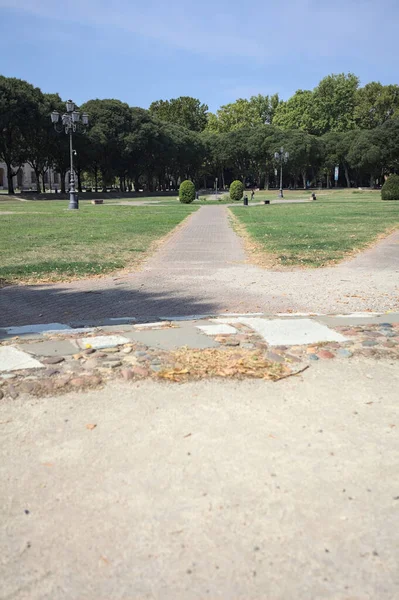 Opening forming a square with trails and bushes bordered by trees on it in a park on a sunny day