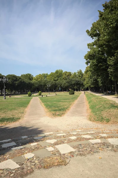 Opening forming a square with trails and bushes bordered by trees on it in a park on a sunny day