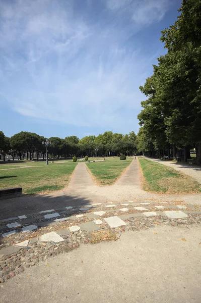 Opening forming a square with trails and bushes bordered by trees on it in a park on a sunny day