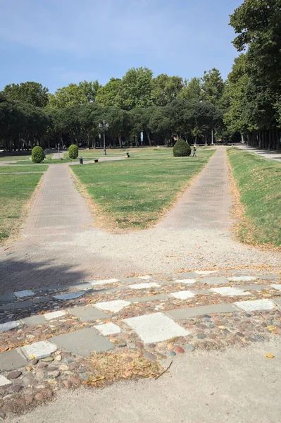 Opening forming a square with trails and bushes bordered by trees on it in a park on a sunny day