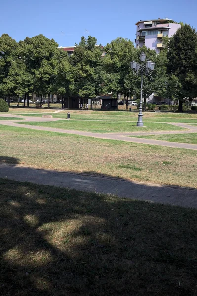 Opening forming a square with trails and bushes bordered by trees on it in a park on a sunny day