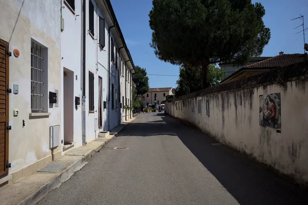 Road bordered by a building and a boundary wall with a pine growing above it in a village of the italian countryside on a sunny day