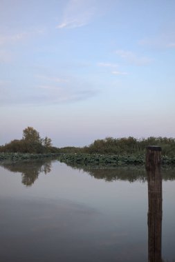 Bataklıkta bir nehir. Bitkiler ve ağaçlar suya dökülmüş. Gün batımında uzaktan görülebiliyor.