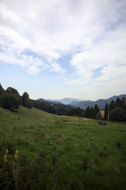 Uçurumun kenarındaki çimen çayırında bir koruluk ve kısmen bulutlu bir günde uzak bir dağ sırtı.