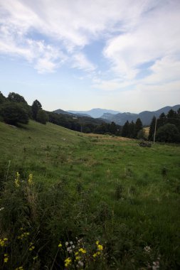 Uçurumun kenarındaki çimen çayırında bir koruluk ve kısmen bulutlu bir günde uzak bir dağ sırtı.