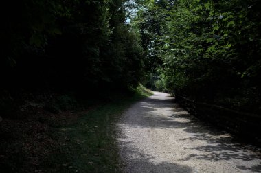 Güneşli bir günde ağaçların tepesinden dökülen gölgelerin olduğu bir koruluktan geçen patika.