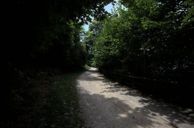Güneşli bir günde ağaçların tepesinden dökülen gölgelerin olduğu bir koruluktan geçen patika.