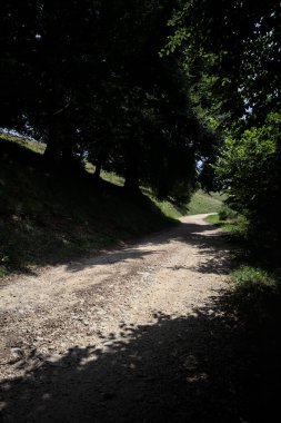 Ağaçların gölgeleriyle yükselen patika, dağlarda güneşli bir günde yere dökülür.