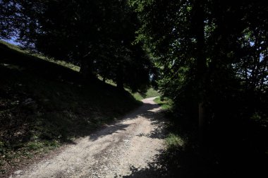 Ağaçların gölgeleriyle yükselen patika, dağlarda güneşli bir günde yere dökülür.