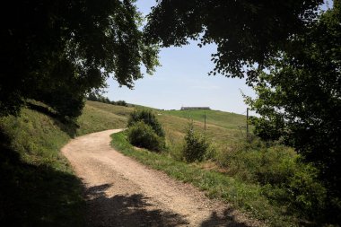 Ağaçların gölgeleriyle yükselen patika, dağlarda güneşli bir günde yere dökülür.