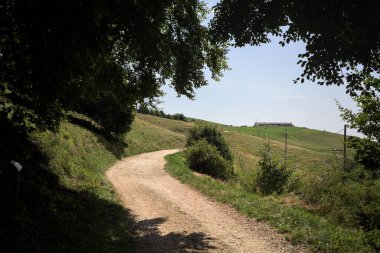 Ağaçların gölgeleriyle yükselen patika, dağlarda güneşli bir günde yere dökülür.