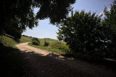 Ağaçların gölgeleriyle yükselen patika, dağlarda güneşli bir günde yere dökülür.