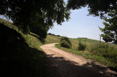 Ağaçların gölgeleriyle yükselen patika, dağlarda güneşli bir günde yere dökülür.