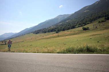 Dağdaki bir yamaçta çayırlarda ve koruluklarda dağ sırtı olan bir yolun kenarından görülebiliyor.