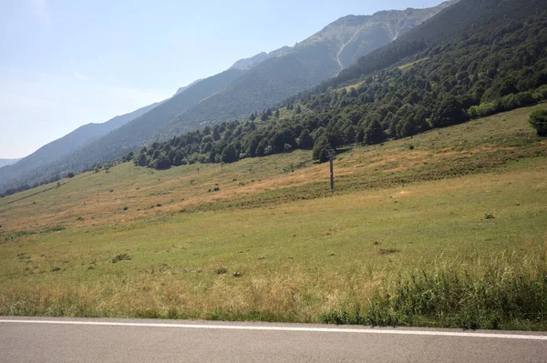 Dağdaki bir yamaçta çayırlarda ve koruluklarda dağ sırtı olan bir yolun kenarından görülebiliyor.