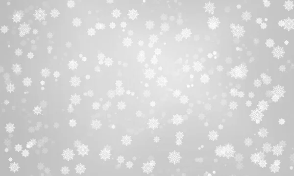 Fondo Gris Simple Invierno Ligero Con Copos Nieve Rizados Sobre —  Fotos de Stock