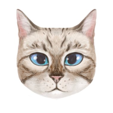 Şirin bir tekir kedinin çizimi. Kedi hoş, hafif, büyüleyici bir portre. Mavi gözlü ve parlak ceketli bir kedi.