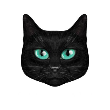Doğrudan kameraya bakan mavi turkuaz gözlü siyah bir kedinin resimli portresi. Siyah tüylü şirin bir kedi.