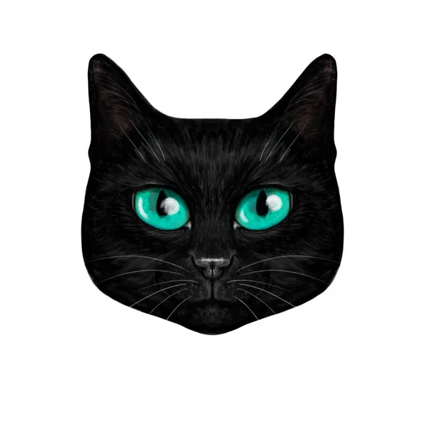 Illustration Portrait Chat Noir Aux Yeux Bleu Turquoise Regardant Directement — Photo