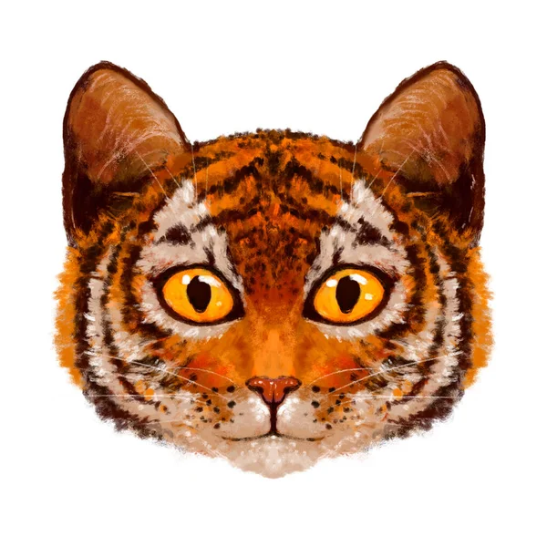 Иллюстрация Портрета Милого Рыжеволосого Полосатого Молодого Тигра Лицо Голова Взгляд — стоковое фото