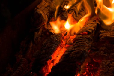 Geceleri yanan güzel bir ağaç