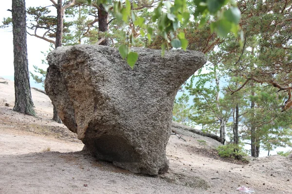 这个美丽的地方坐落在哈萨克斯坦的布拉巴伊旅游胜地 是松林中的一块古老的大石头 — 图库照片