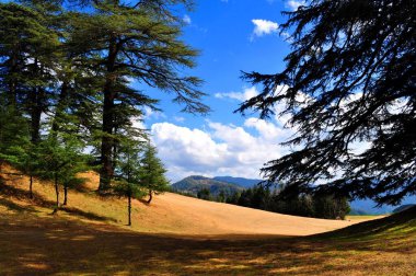 Himalayalar 'ın yukarısında güzel bir yer. Orada uzun Devdhar ağaçları bol bol yetişir. Bu güzel yer, Hindistan 'da popüler bir turizm merkezi olan Shimla' dan yaklaşık bir saat uzaklıkta..