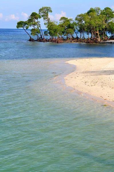 アンダマン ニコバル諸島をエキゾチックで人気のある目的地にするエメラルド水と黄金のマングローブのビーチ — ストック写真