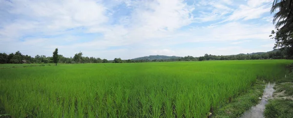 alan ve gökyüzü 01/yatay, resmi bir alan ve gökyüzü