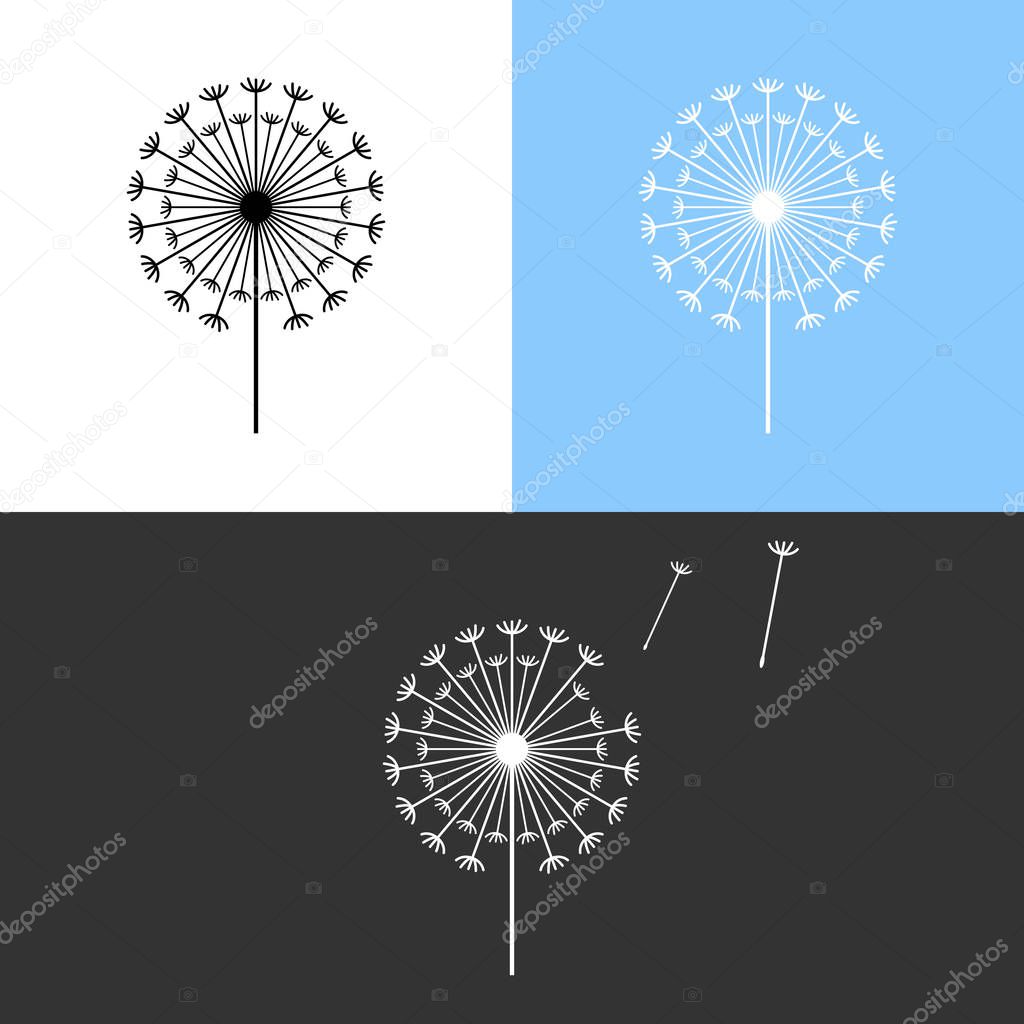 Dandelion symbols. Taraxacum flower icons. Vector illustration isolated on white, blue and black background