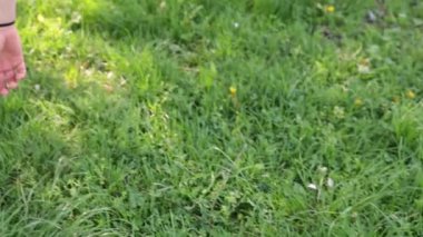 Genç seksi dansçı kadın ağaç üzerinde dans.