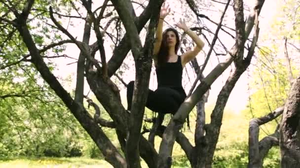 年轻的性感舞蹈家妇女跳舞在树上 — 图库视频影像