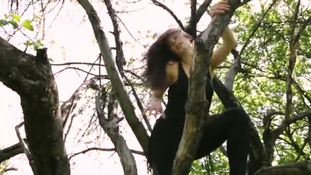 Young Sexy Dancer Woman Dancing Tree — Stock Video