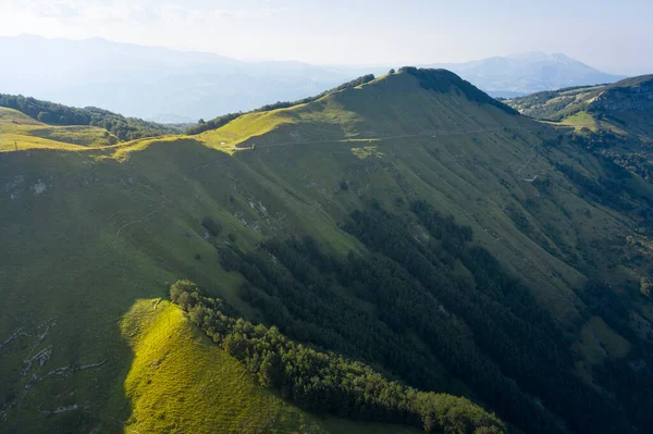 Luftaufnahme Einer Grünen Prärie Inmitten Von Wäldern Der Bergregion Des — Stockfoto