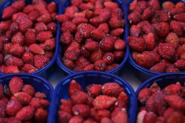 İçinde ünlü nemi çilekleri olan sepetler.