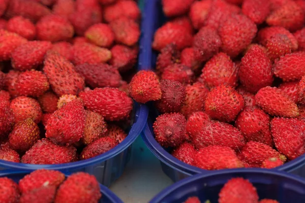 İçinde ünlü nemi çilekleri olan sepetler.