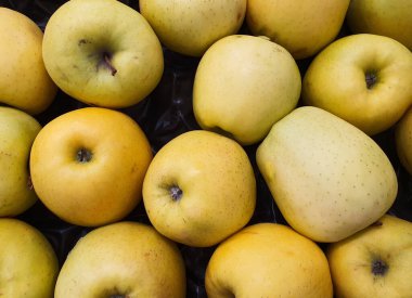 Sarı elma grubu satışa hazır.