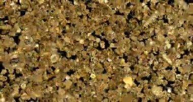 4 k ile mat altın bitcoins 3D cryptocurrency düşen yağmur