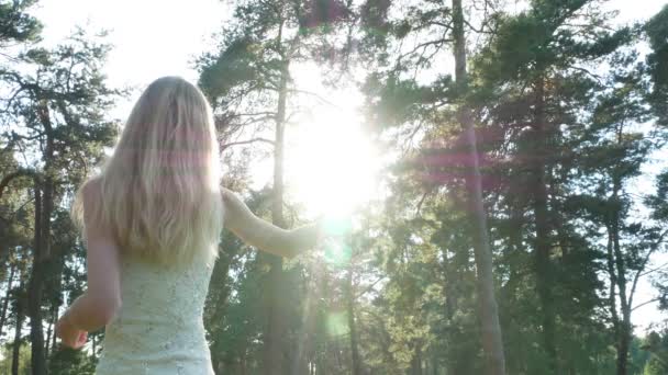 Beauté romantique jeune femme en robe dans la forêt sur coucher de soleil 4k — Video