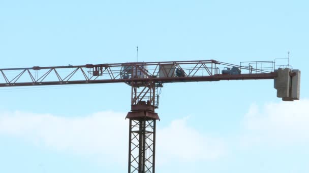 Working tower cranes, buildings — Stockvideo